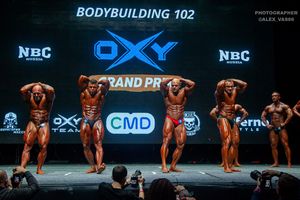 BODYBUILDING 102
